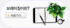 브레이징이란?